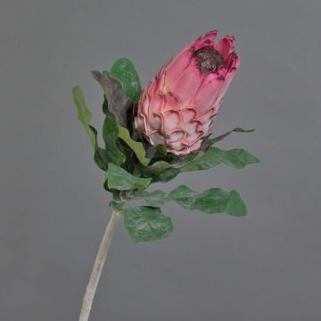 Textilblume Protea NELLI, rosa-pink, 75cm, Ø8cm