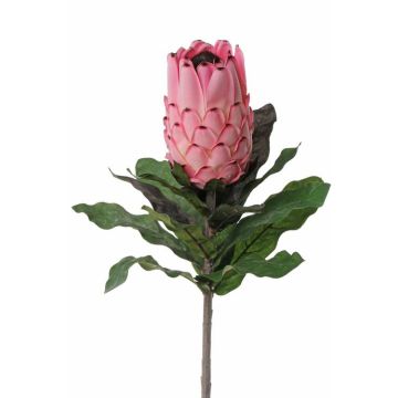 Textilblume Protea NELLI, rosa, 75cm, Ø8cm