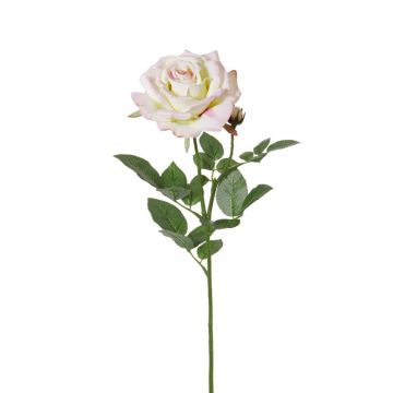 Deko Rose JANINE, zartrosa, 70cm, Ø12cm