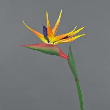 Kunst Papageienblume LATIFA, orange-violett, 90cm, 17x20cm
