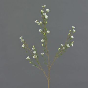 Kunst Wachsblume NIANG, creme, 80cm, Ø1,5-2,5cm