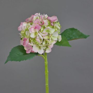 Textilblume Hortensie NICKY, rosa-grün, 50cm, Ø15cm