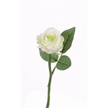 Kunstblume Rose GABI, creme-grün, 25cm, Ø5cm