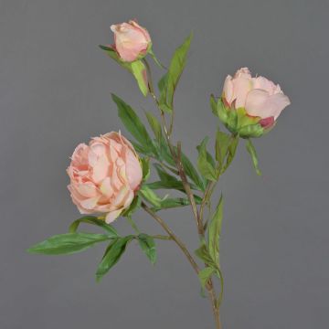Künstlicher Zweig Pfingstrose MANJA, rosa, 70cm, Ø8-10cm