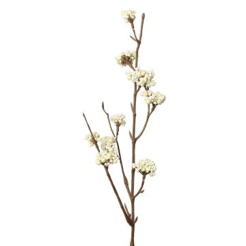 Deko Liebesperlenstrauch Zweig LARINA mit Beeren, creme, 50cm