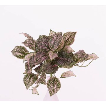 Deko Mosaikpflanze MOLARA zum Stecken, rosa-grün, 25cm