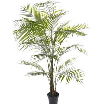 Kunstpalme Areca MELMAN, crossdoor, 190cm