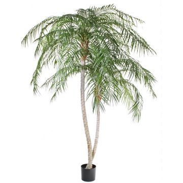 Kunstpalme Phönix Palme PANCHALI, crossdoor, 225cm