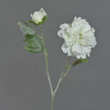 Künstliche Pfingstrose MALINE, Schnee, weiß, 60cm, Ø13cm