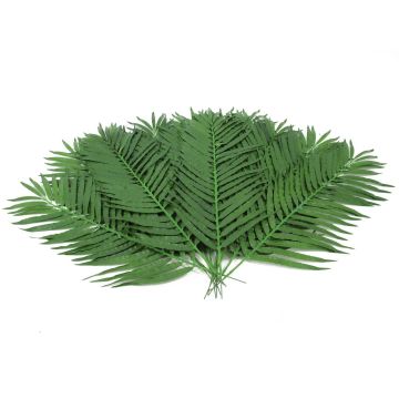Plastik Kokos Palmwedel CHESTER, 12 Stück, 90cm Plastik Kokos Palmwedel CHESTER, 12 Stück, 90cm