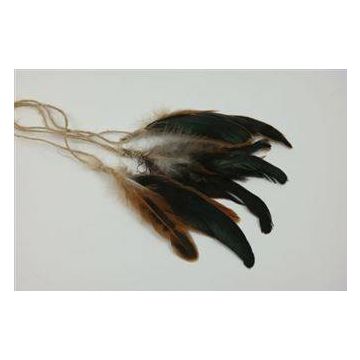 Deko Indianer Federn HUBERTA, 3 Stück, braun, 15-20cm