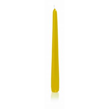 Spitzkerze PALINA, gelb, 25cm, Ø2,5cm, 8h - Made in Germany