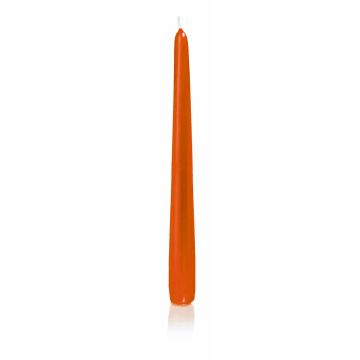 Spitzkerze PALINA, orange, 25cm, Ø2,5cm, 8h - Made in Germany