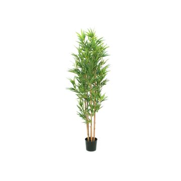 Plastik Bambus ELISSO, Echtstämme, 150cm