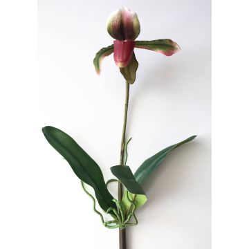 Deko Paphiopedilum Orchidee VELANA, Stecker, violett-grün, 40cm