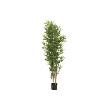 Plastik Bambus ELISSO, Echtstämme, 180cm