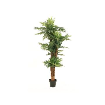 Künstliche Palme Areca CYNTHIA, 170cm