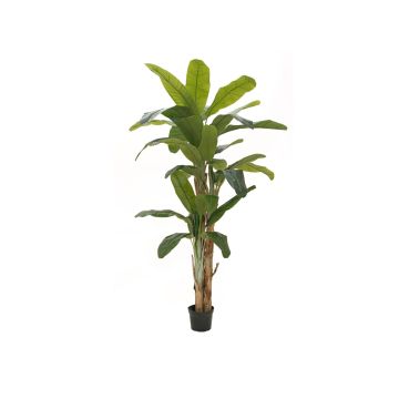 Kunst Bananenbaum FLORIS, Echtstamm, 240cm