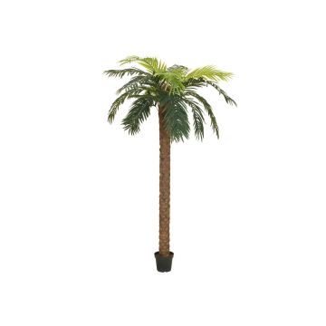 Kunststoff Phönix Palme JOLEEN, 250cm