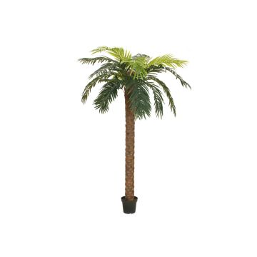Kunststoff Phönix Palme JOLEEN, 300cm