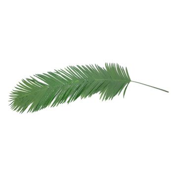 Plastik Kokos Palmwedel GLORINA, 180cm Plastik Kokos Palmwedel GLORINA, 180cm