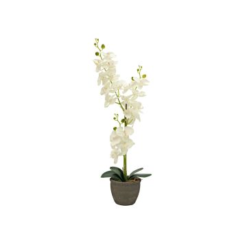 Textil Orchidee Phalaenopsis KATALIN, Dekotopf, creme, 80cm