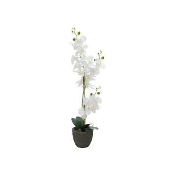 Textil Orchidee Phalaenopsis KATALIN, Dekotopf, weiß, 80cm