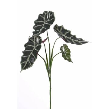 Kunststoff Alocasia Sanderiana MATHEA zum Stecken, grün-weiß, 75cm