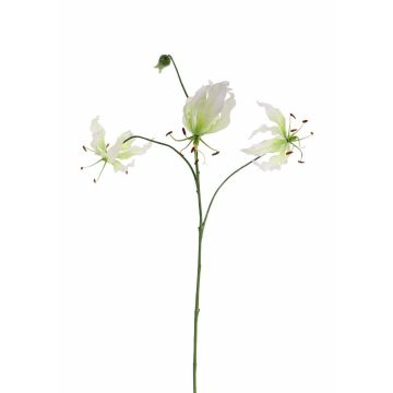 Deko Gloriosa TIANA, weiß-grün, 80cm, Ø8-15cm