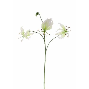Deko Gloriosa TIANA, weiß-grün, 85cm, Ø9-10cm