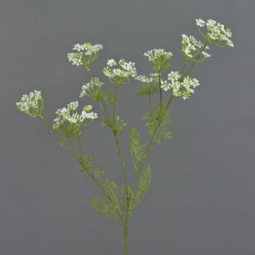 Kunst Dillzweig WINCENT mit Blüten, weiß, 80cm, Ø5-7cm