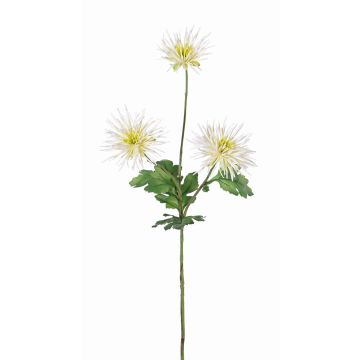 Deko Chrysantheme SOLVIE, creme, 70cm, Ø10cm