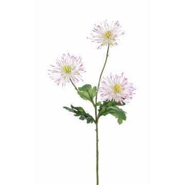Deko Chrysantheme SOLVIE, weiß-rosa, 70cm, Ø10cm