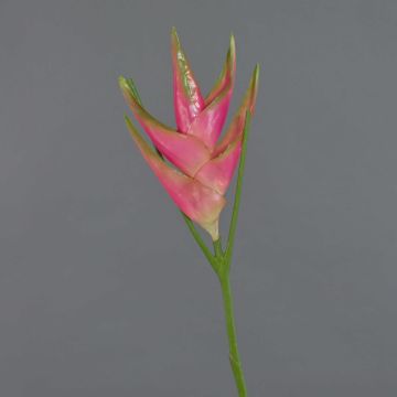 Kunst Helikonien Blüte TOMKE, pink-grün, 80cm, Ø18cm