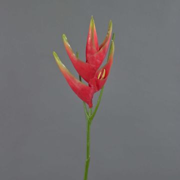 Kunst Helikonien Blüte TOMKE, rot-grün, 80cm, Ø18cm