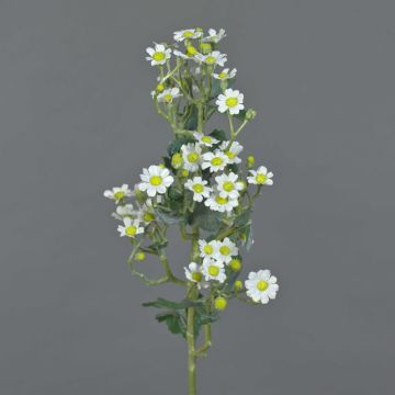 Kunst Mutterkraut FEMKE, weiß, 60cm, Ø1,5-2cm