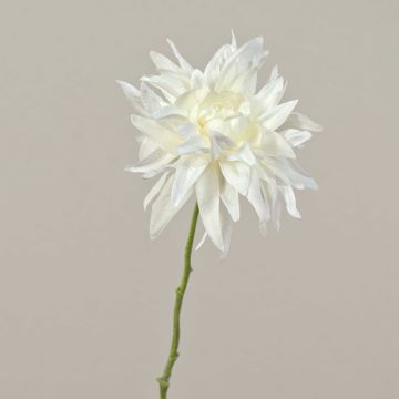 Deko Dahlie SMILA, creme, 55cm, Ø12cm