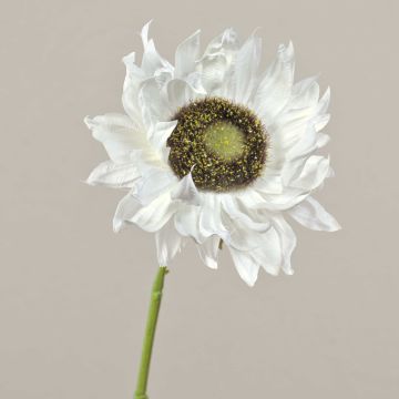 Künstliche Sonnenblume JANIKA, weiß, 60cm, Ø13cm