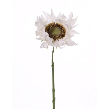 Künstliche Sonnenblume JANIKA, creme, 60cm, Ø12cm