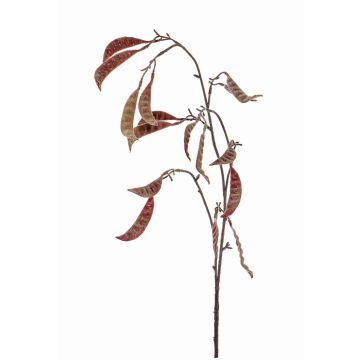 Kunst Erbsenpflanzen Hülsen Zweig KLAUS, dunkelrot, 90cm