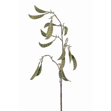 Kunst Erbsenpflanzen Hülsen Zweig KLAUS, grün, 90cm