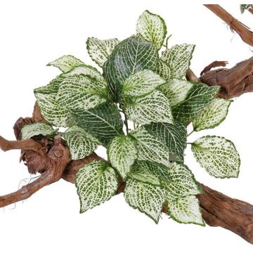 Deko Mosaikpflanze MOLARA zum Stecken, grün-weiß, 25cm