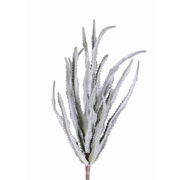 Deko Euphorbia trigona REESE zum Stecken, grau-grün, 30cm, Ø20cm