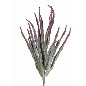 Deko Euphorbia trigona REESE zum Stecken, rot-grün, 30cm, Ø20cm