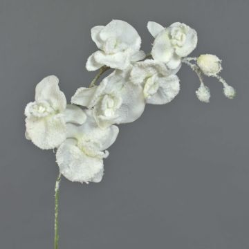 Kunstzweig Phalaenopsis Orchidee MYRIA, Schnee, weiß, 65cm, Ø6-10cm