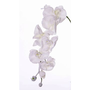 Kunstzweig Phalaenopsis Orchidee MYRIA, Schnee, weiß, 75cm