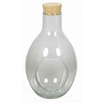 Terrarium Flasche Glas VINELLA mit Korken, klar, 31cm, Ø18cm