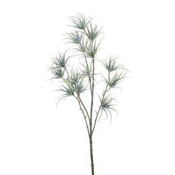 Plastik Tillandsia Stricta Zweig MONDRIAN, grün-grau, 65cm
