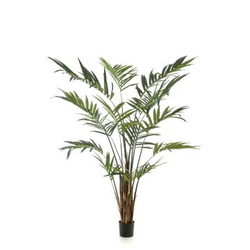 XXL Kentia Palme künstlich TIRO, 270cm