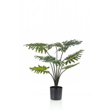 Kunst Philodendron Selloum FRIO, 60cm
